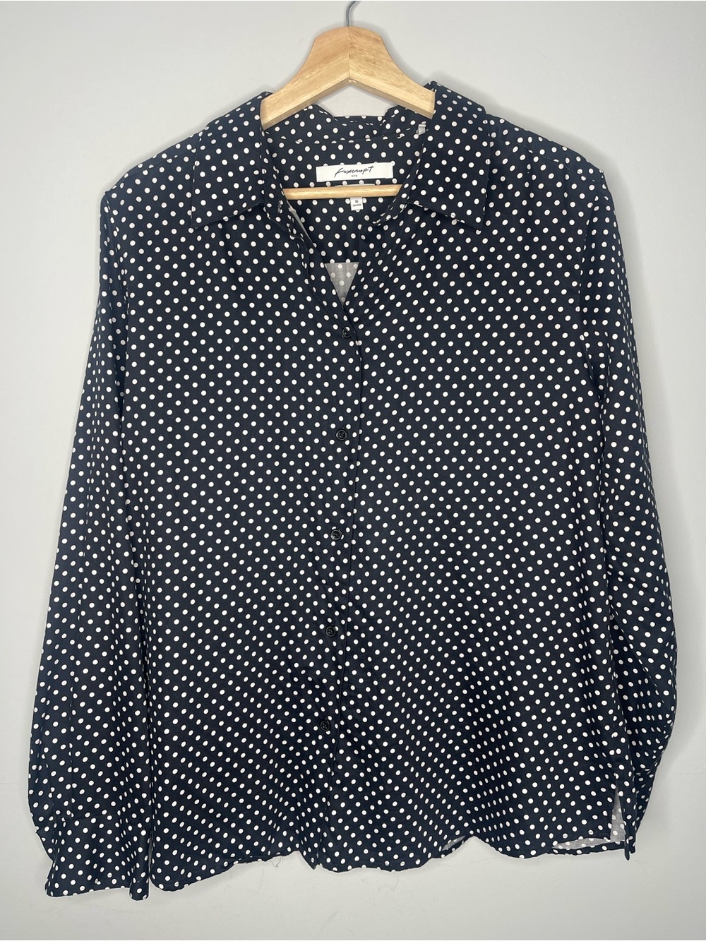 Foxcroft Wrinkle-Free Polka Dot Button Up Blouse (16)